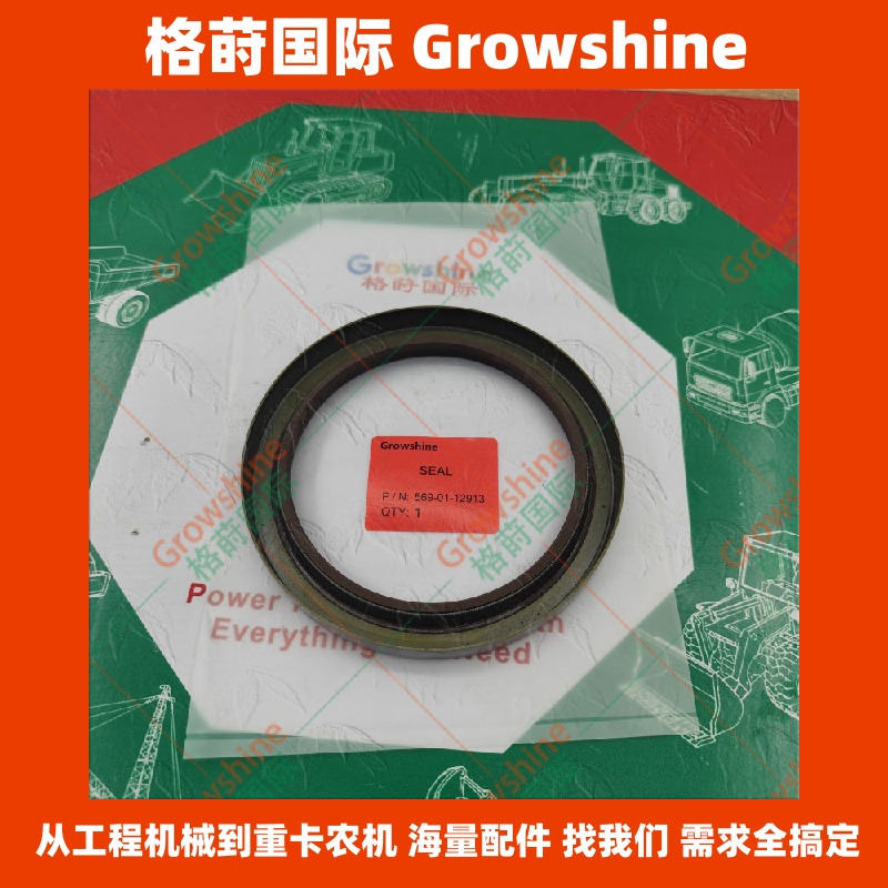 569-01-12913骨架油封5690112913
