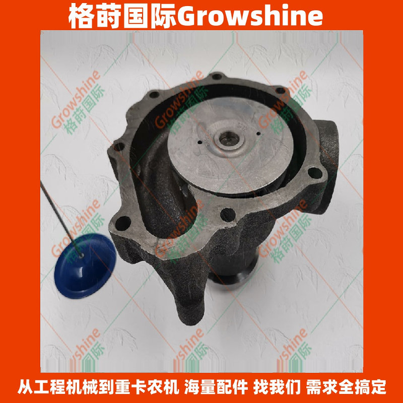 TCD2012水泵02937455