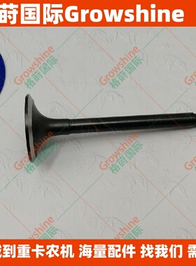 供应发动机配件D1105排气门13241-13110