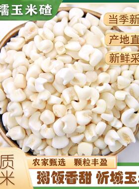 忻城白玉米碎1-5斤 新货广西珍珠脱皮玉米头煮粥糖水玉米甜碴焖饭