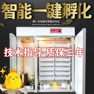 孵化机全自动家用小型小鸡孵化z箱大型孵化器双室孵蛋机智能孵蛋