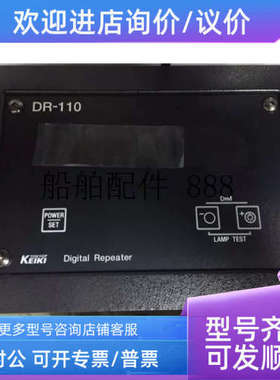 议价Digital Repeatr DR-110