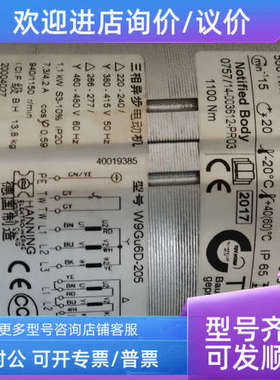 议价霍曼HORMANN电机W9Gu6D 10002490-10006A445电机445R电机