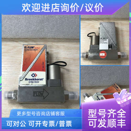 议价Bronkhorst F201CV-5K0-BAD-88-V 5000sccm H2