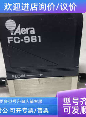 议价AERA MASS FLOW TC FC-981 20SLM O2气体流量计