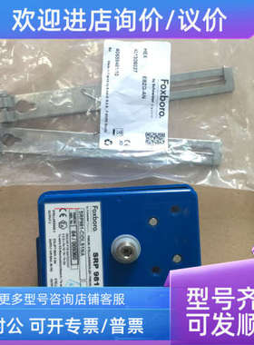 议价 ECKARDT 气动定位器   SRP981-BIDLS1NA