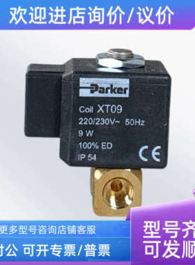 议价电磁阀VE131IN-XT09电磁阀 XT09 KT09燃油电磁阀线圈