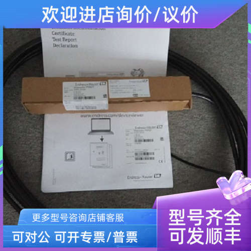 议价E+HFMX21-AA211CGD10AFMX21-1DQ4/0)静压式液位计液位传感器