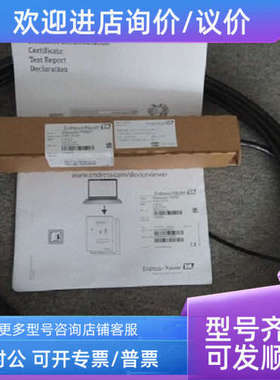 议价E+HFMX21-AA211CGD10AFMX21-1DQ4/0)静压式液位计液位传感器