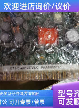 议价C1 Power 24 VDC PAAE065774 电路