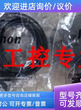 议价瑞申RAYCHON/PW300-V24