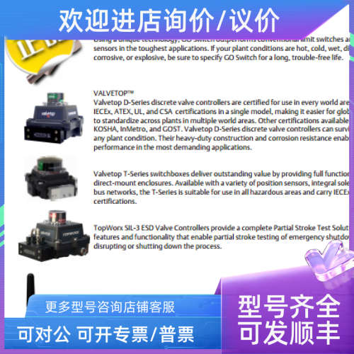 议价温度变送器 VTM-6L 248HAI11NONS TC-K-2-WIRE PT100 DXP-LX1