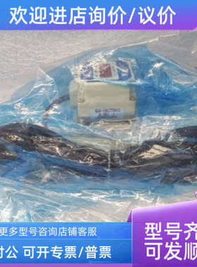 议价Saginomia karuman ACE 流量计 SLK-1033TXQ13  2-20 L/min