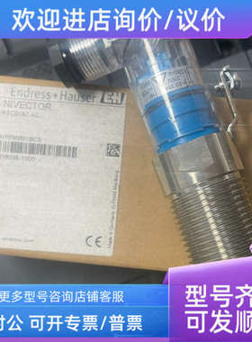 议价E+H电平开关液位传感器 Nivector  FTC968ZAC恩德斯豪斯