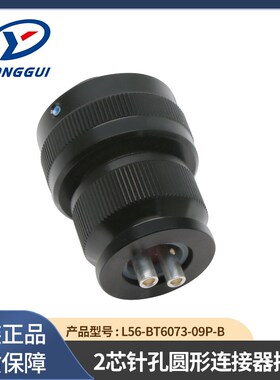 leadway  L56-BT6073-09P-B 新能源2芯高压辅助插头