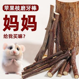 金丝熊天然苹果枝仓鼠无添加新鲜苹果枝荷兰猪仓鼠磨牙耐磨食品