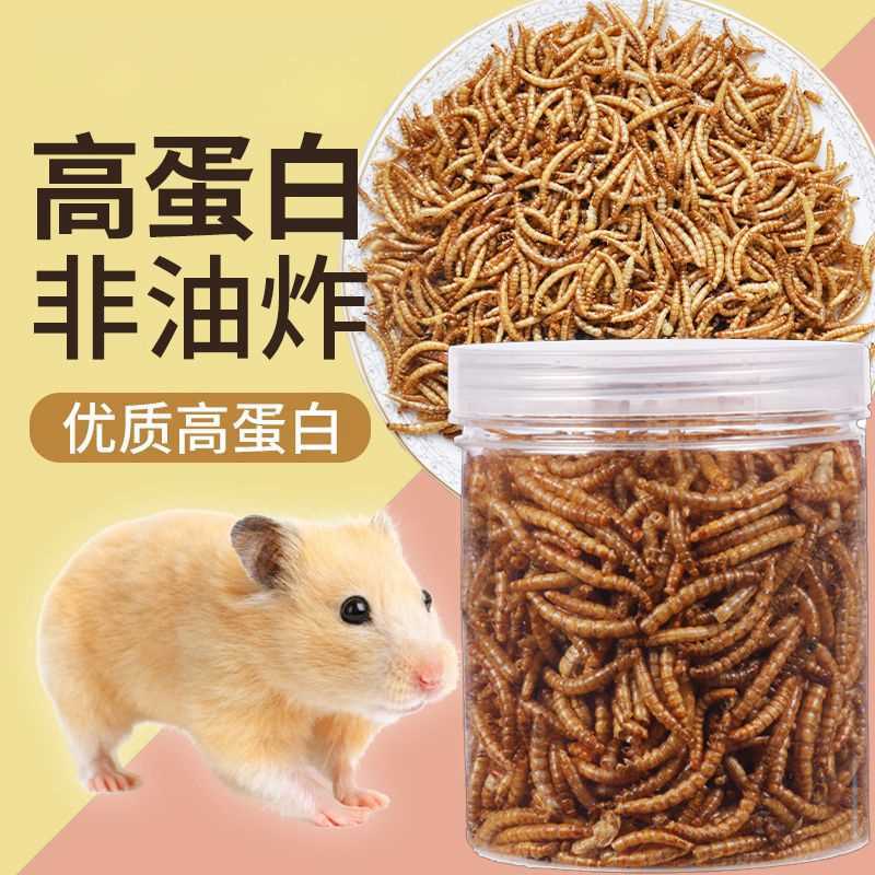 烘干面包虫干仓鼠粮食零食黄粉虫干芦丁鸡小虫食物高蛋白鸟粮龟粮