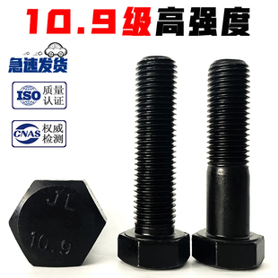 10.9级高强度外六角螺栓 40Cr螺丝M8M1012M14M16M20M24M30M36M42