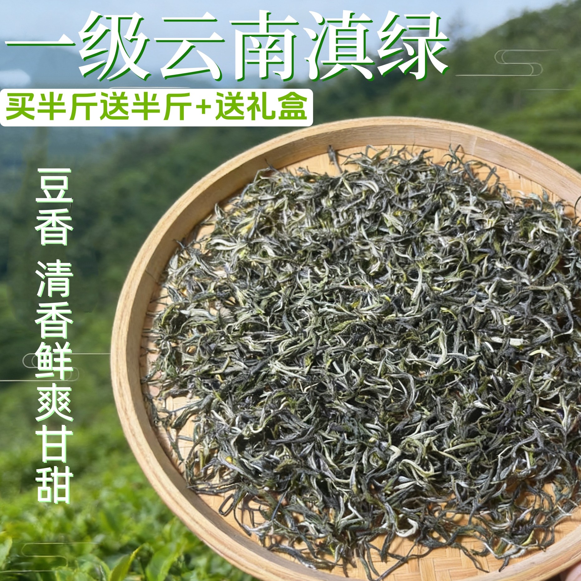 顺丰包邮云南雪芽绿茶大叶种滇绿解腻清爽甘甜买半斤送半斤送礼盒,茶,特色产区绿茶,淘宝优惠券,粉丝福利购,淘宝优惠卷