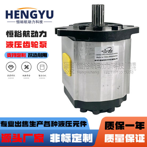 赛特玛SETTIMA螺杆齿轮泵GR55 2C63CCFSAEBACOED GR47 GR72液压泵