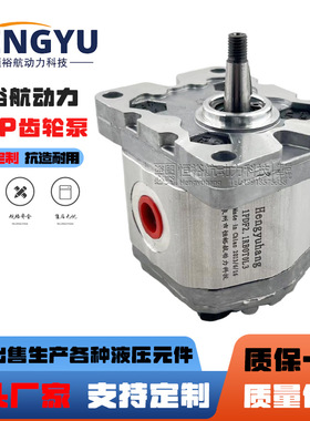 罗茨液压泵RONZIO齿轮泵01ZAG78C442D 01ZCG42N600D 01ZAG26C442D