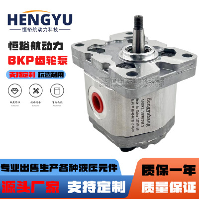 罗茨液压泵RONZIO齿轮泵01ZAG78C442D 01ZCG42N600D 01ZAG26C442D