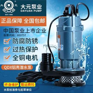 大元 高扬程大流量农用井用灌溉泵家用220V 潜水泵 水井增压抽水泵