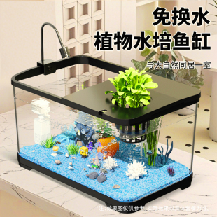 鱼缸小型客厅生态造景过滤制氧一体机2025新款 带盖家用桌面金鱼缸