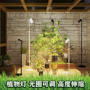 凸透镜聚光全光谱室内仿太阳光智能定时调光落地式生长补光灯