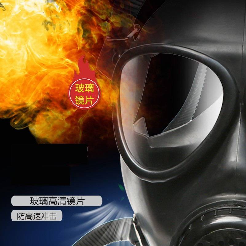 防毒面具特种防生化学毒气毒烟化工喷漆全面罩防毒呼吸器军