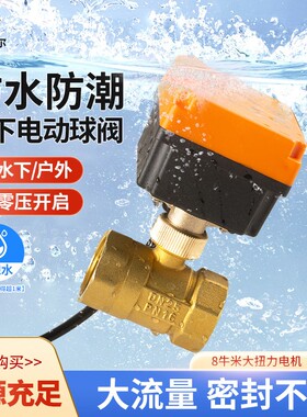 水下防水电动阀水阀ac220v24v12v4分6分二通丝扣大流量铜球阀阀门