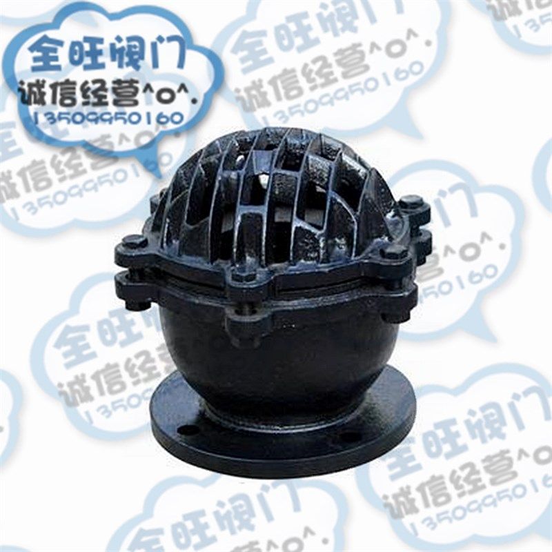 加厚H42X-6/10 铸铁法兰升降式底阀 抽水泵花篮头止回阀 莲蓬头