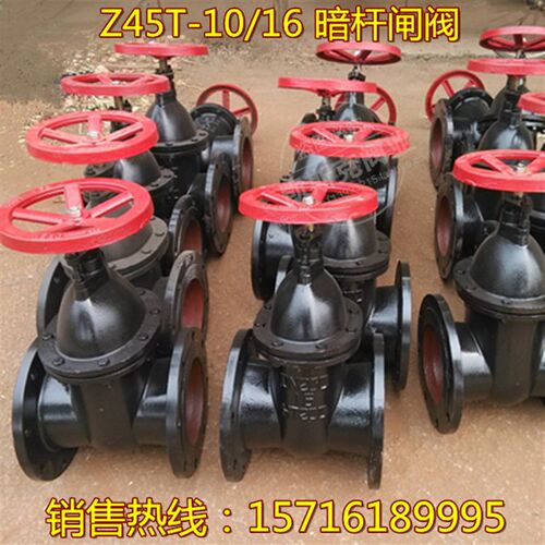 Z45T-10/16铸铁法兰暗杆闸阀铜芯铜杆契式闸阀DN65 80 100 150200