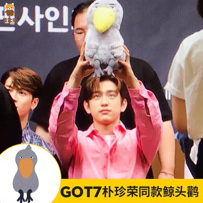 GOT7朴珍荣同款p佛系萌丧坐姿大嘴鸟鲸头鹳公仔藏狐玩偶
