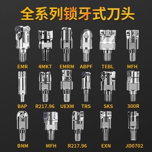 T2139BNM BAP300R R0.8EMR 铣刀头1135 1604 400R可换抗震杆锁牙式