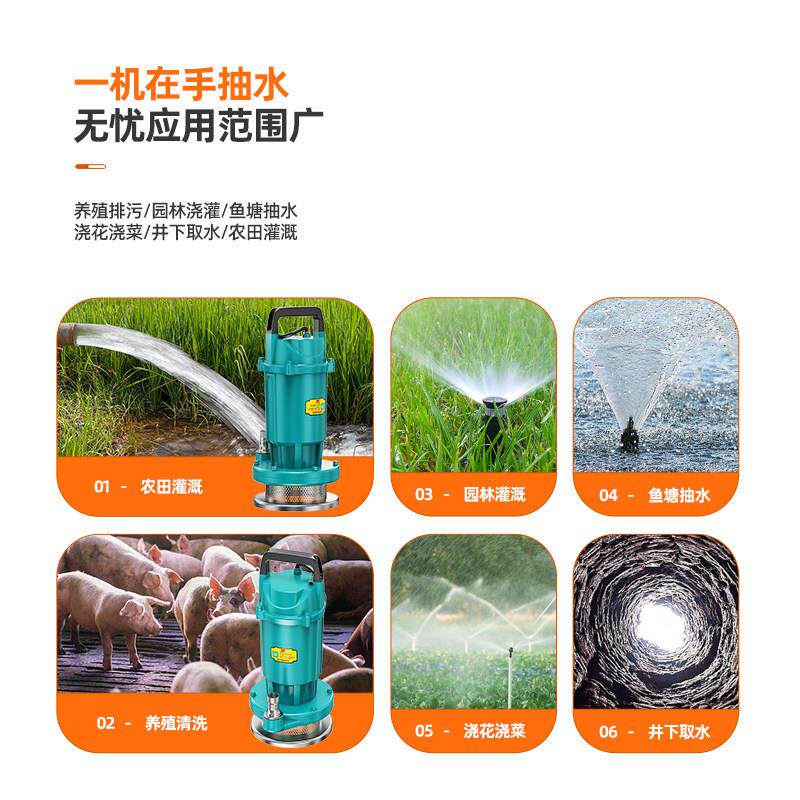 抽水泵水泵家用小型220v高扬程大流量深井潜水泵农用灌溉清水排水