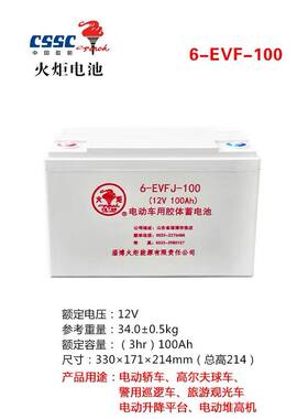 火炬12v100ah蓄电池6-EVFJ-100动力路灯草坪灯山东淄博