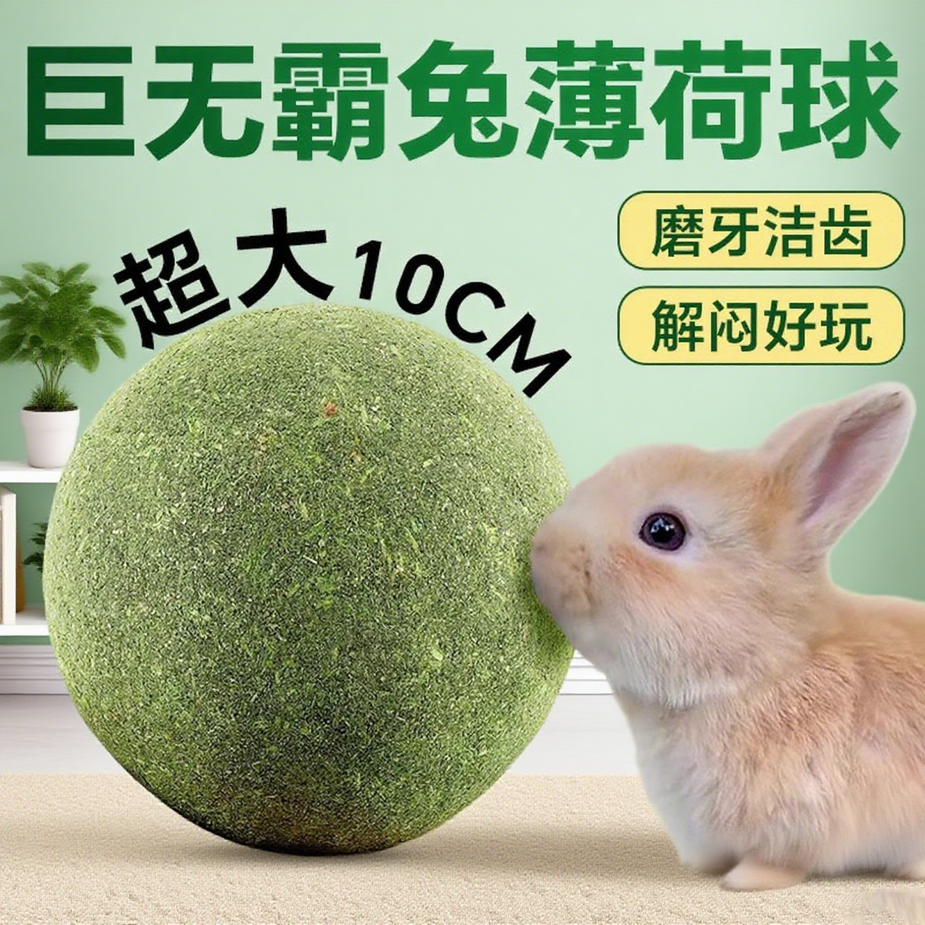 兔子玩具解闷磨牙啃咬薄荷球大小宠物侏儒兔龙猫豚鼠荷兰猪专用品,宠物/宠物食品及用品,兔兔玩具,淘宝优惠券,粉丝福利购,淘宝优惠卷