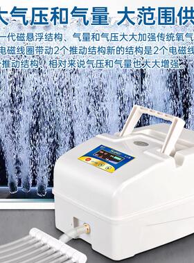 交直流增机用氧氧气充电户外02189A泵钓鱼增家氧泵打氧机充氧机两