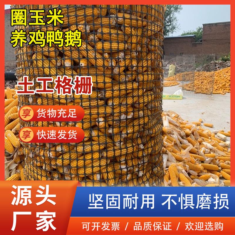 栏网养殖养鸡拦家禽圈塑玉网米格栅围果园菜园栅栏户外鱼塘胶网格