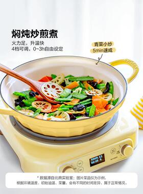 北鼎琅电磁锅煲汤家用25cm珐焖炖底锅多功能炒锅平锅锅具电C6315
