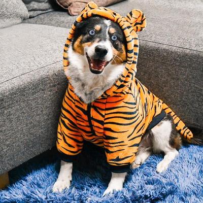 大狗狗衣服金毛秋冬装冬季拉布拉多中型大型犬搞笑老虎恐龙变身装