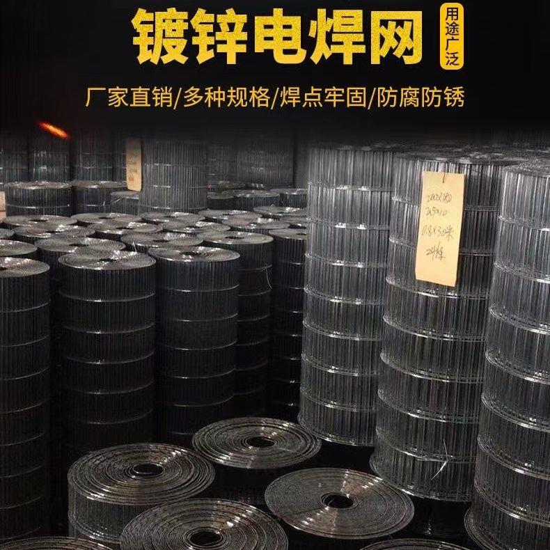 长孔镀锌铁丝网养鸡网电焊网鸟笼网养殖网兔笼网鹦鹉鸽笼网鹌鹑网