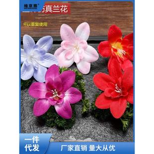 酒店装饰布草餐厅兰花彷真花冷菜刺身菜品意境小摆件摆盘装饰花草