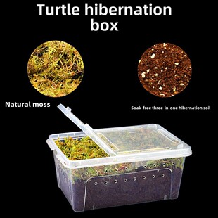 小乌龟过冬窝冬眠用品装备恒温沙土苔藓保暖冬天保温箱乌龟冬眠箱