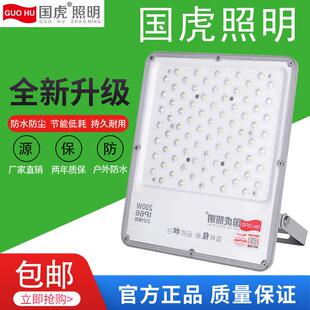 国虎照明室外灯防水led庭院灯超亮强光投光灯节能低耗投射灯墙灯