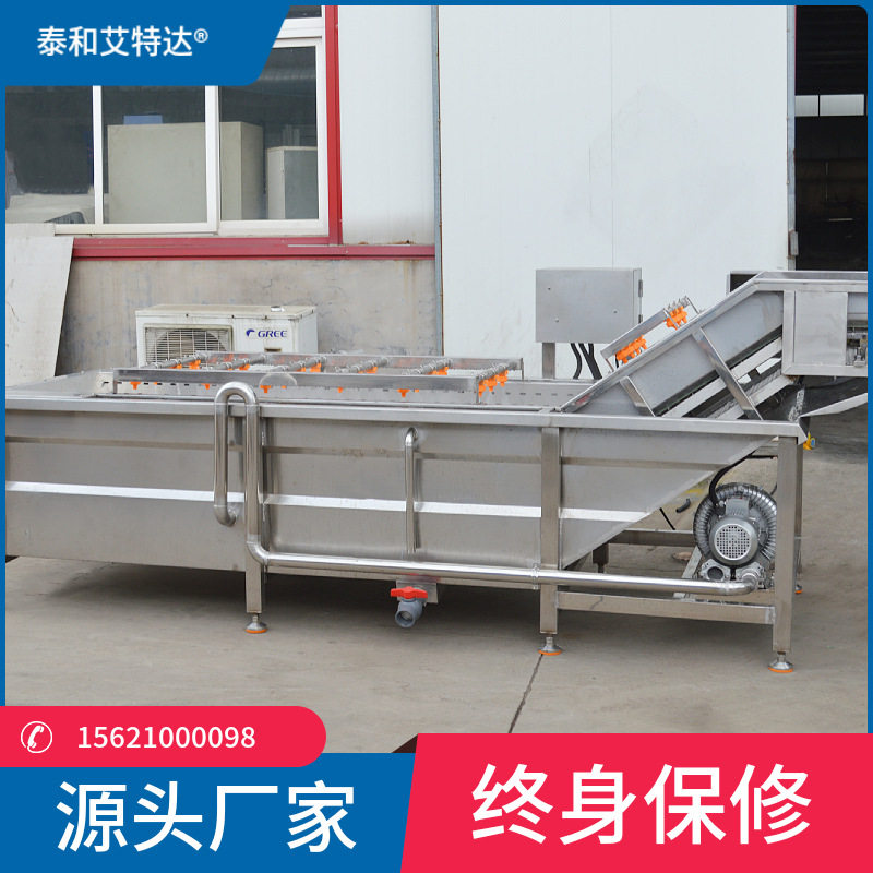 香菜油菜叶菜类水果气泡清洗机菠菜韭菜蔬菜清洗机全自动洗菜机