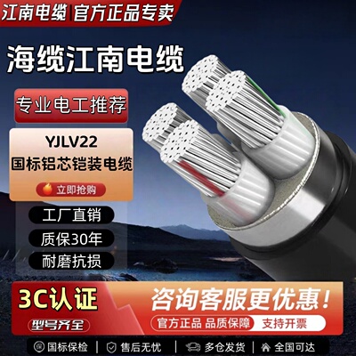 江南电缆yjlv223C国标铝芯电缆