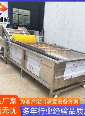 全自动果蔬清洗机设备 蒲公英气泡清洗机  香菇预制菜清洗机设备