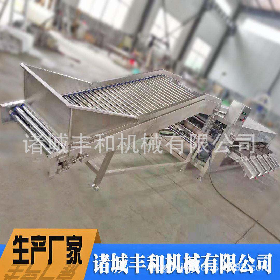 小毛芋头大小分级机 红皮小土豆分级机厂家 红薯番薯大小分级机